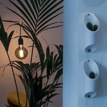 Studio Lemonade
